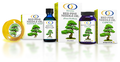 Red Pine Needle Oil Products (Pinus densiflora)