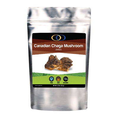 Chaga-Pilz (Granulat) 1/2 Pfund