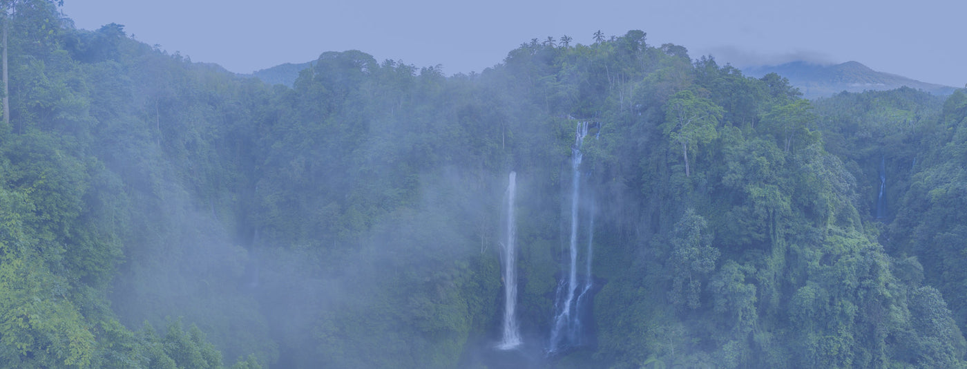 Beautiful Rainforest and Optimally Organic waterfalls. 