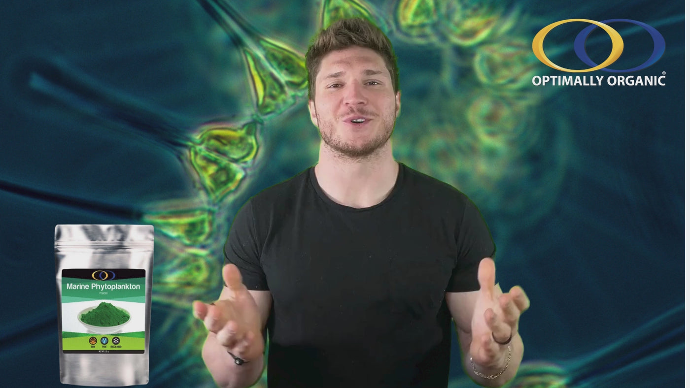 Marine Phytoplankton (25 g) - Photobioreactor Grown
