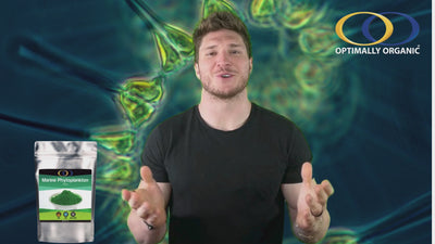 Marine Phytoplankton (25 g) - Photobioreactor Grown