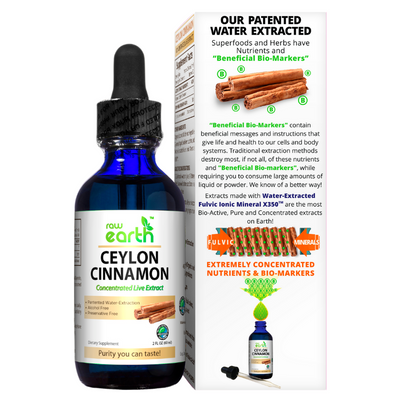 Raw Earth Ceylon Cinnamon Extract 2oz - Optimally Organic