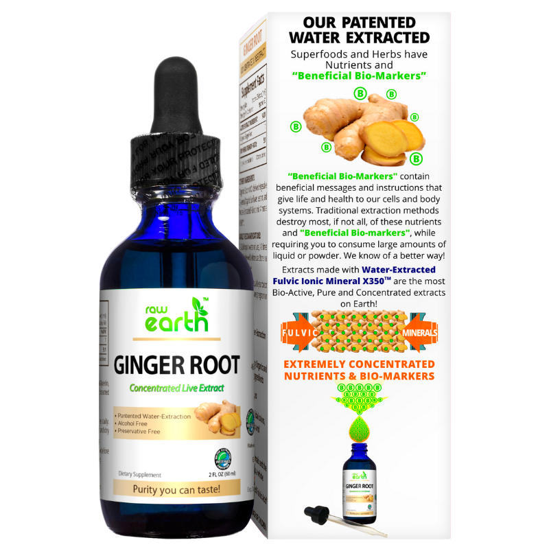 Raw Earth Ginger Root Extract 2oz - Optimally Organic