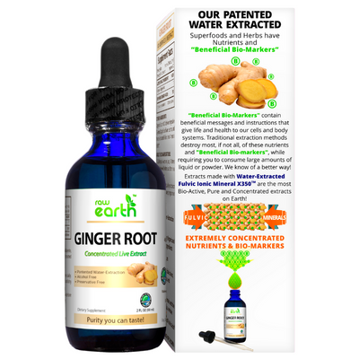 Raw Earth Ginger Root Extract 2oz - Optimally Organic